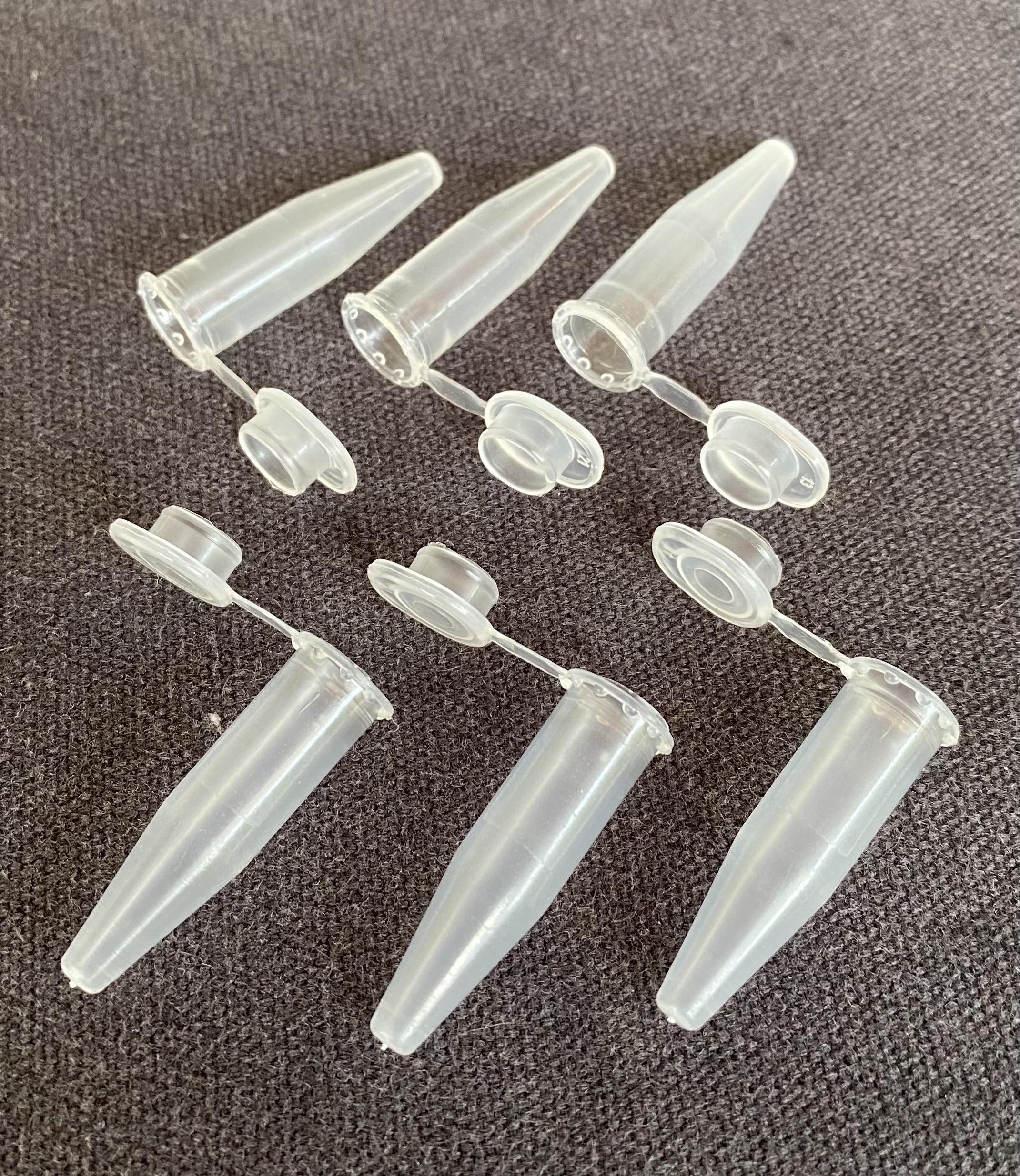 Eppendorf Tube