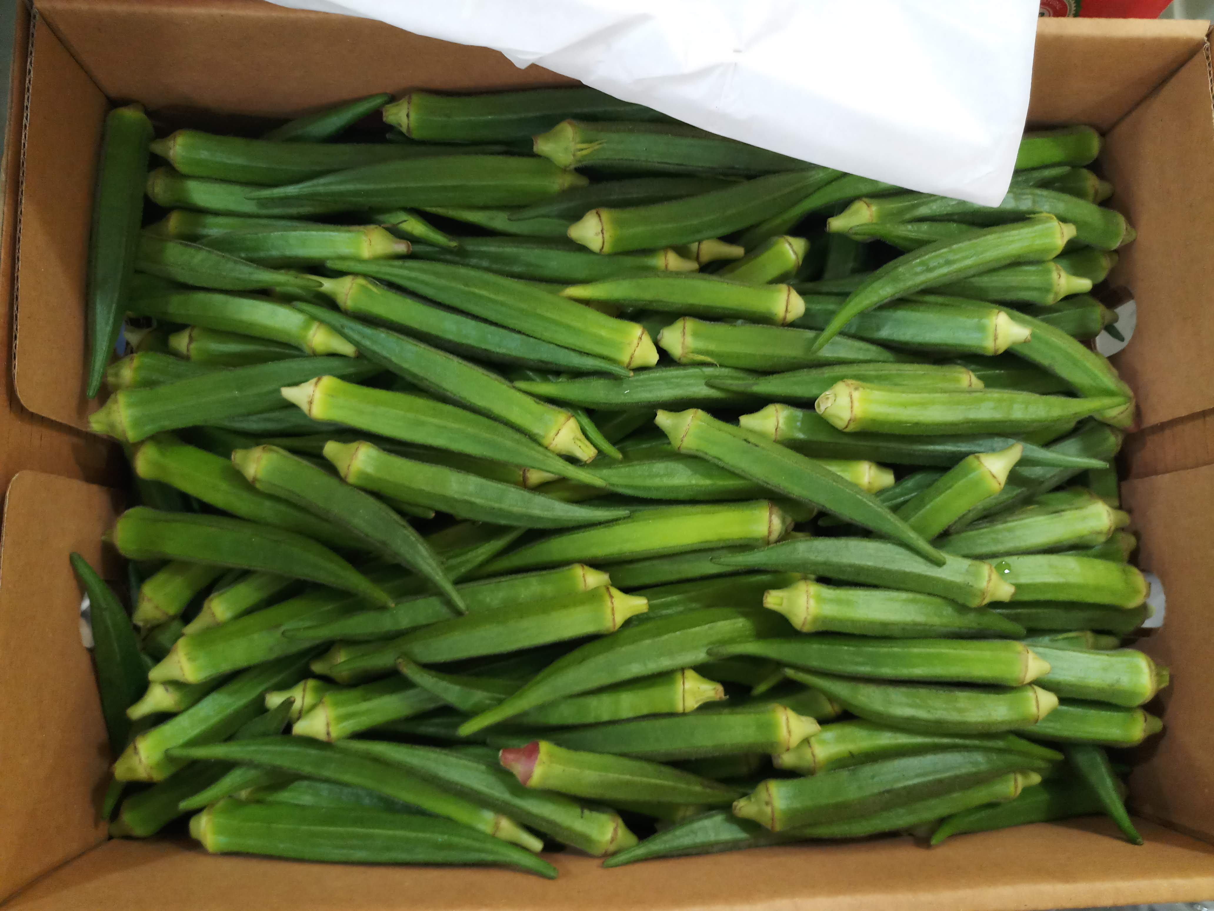 fresh okra