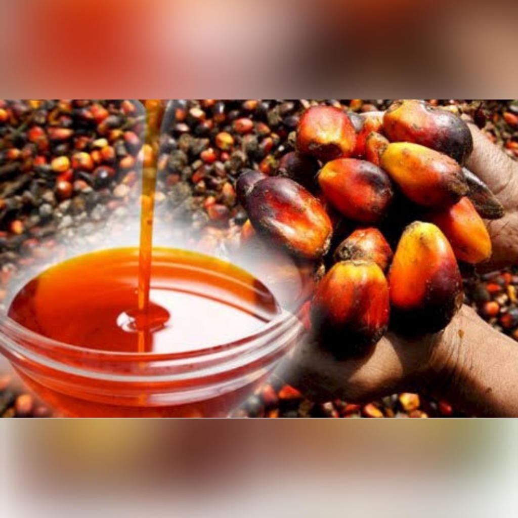 Palm Oil