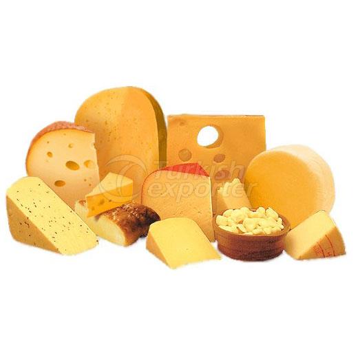 International Cheese Production Machinery