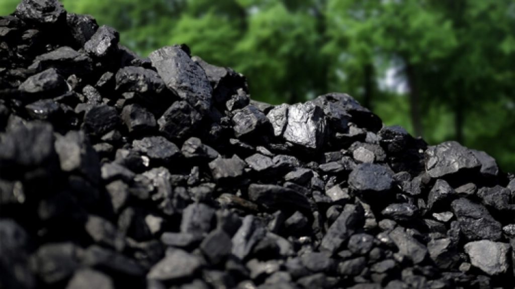 Coal