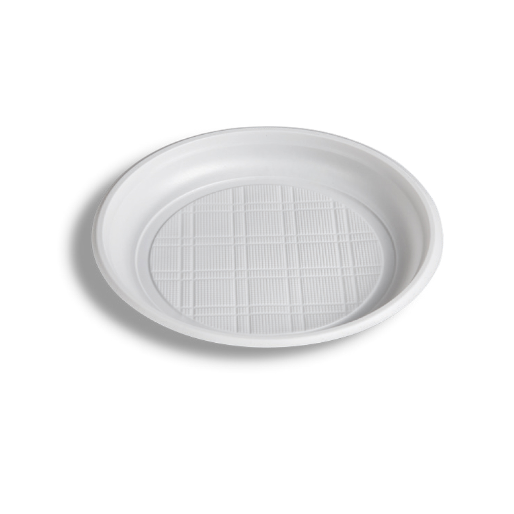 Plastic Plate