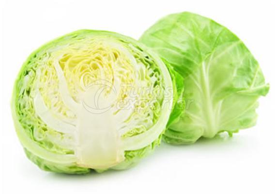 Cabbage