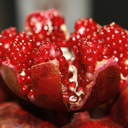 Pomegranate