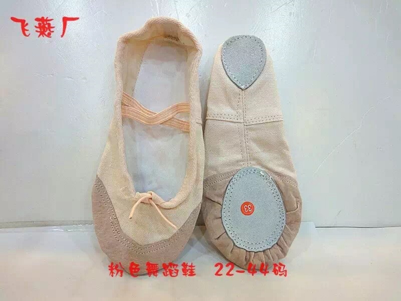 Dance/Yoga shoes