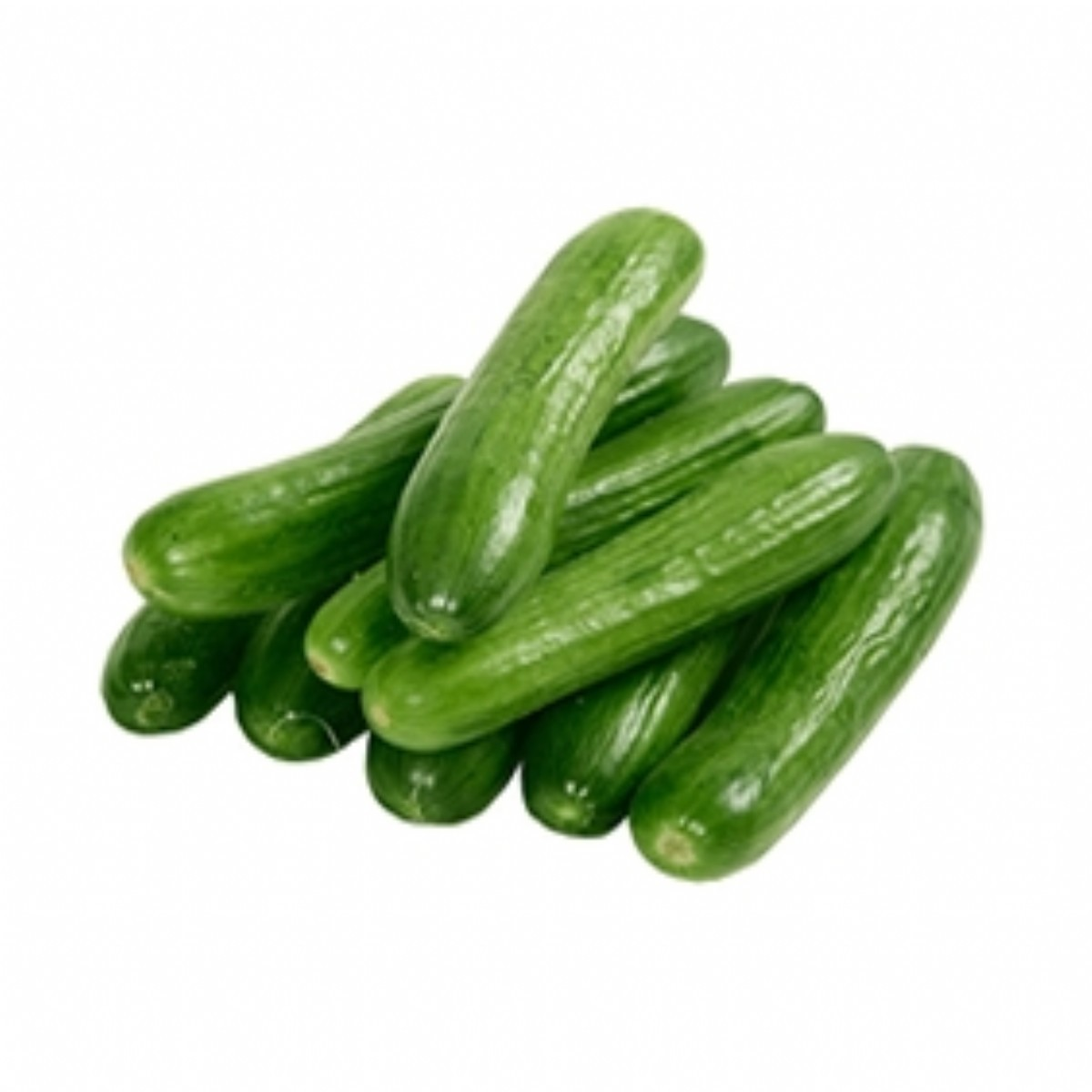 Cucumber