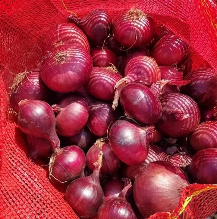 Red onions 