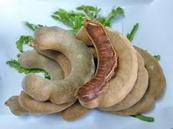 Tamarind Kernel Powder (TKP)