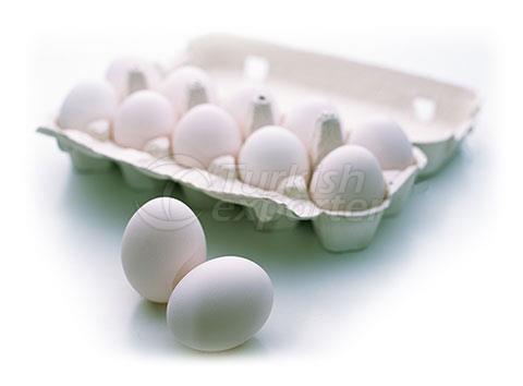 Shelled Egg