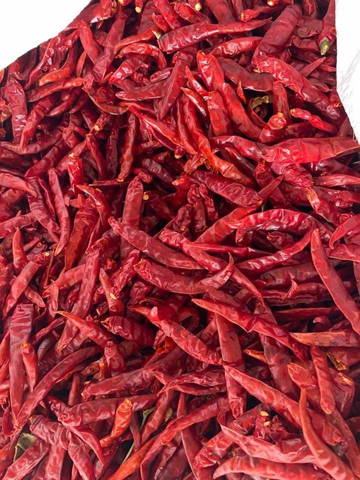 RED DRY CHILLIES