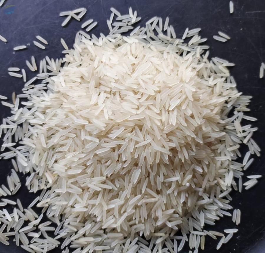 Rice 