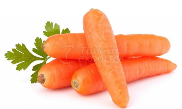 Carrot