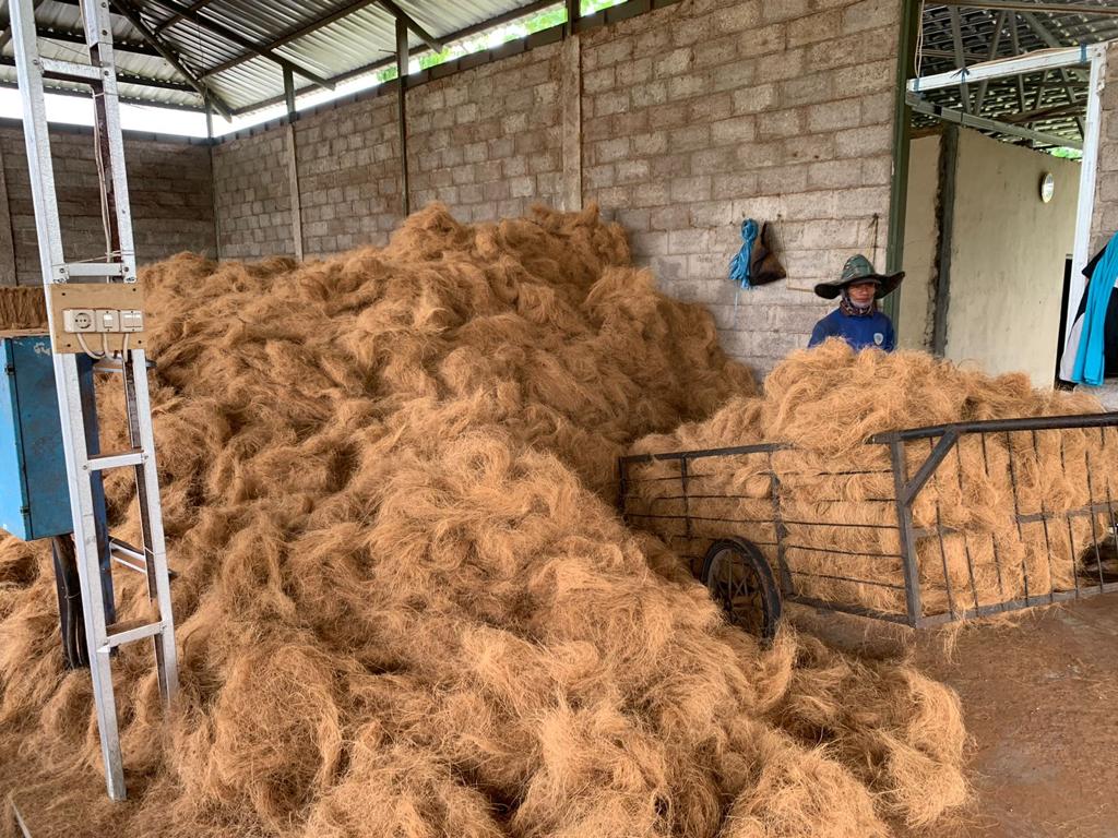 Coir / Cocofiber / Coconut Fiber