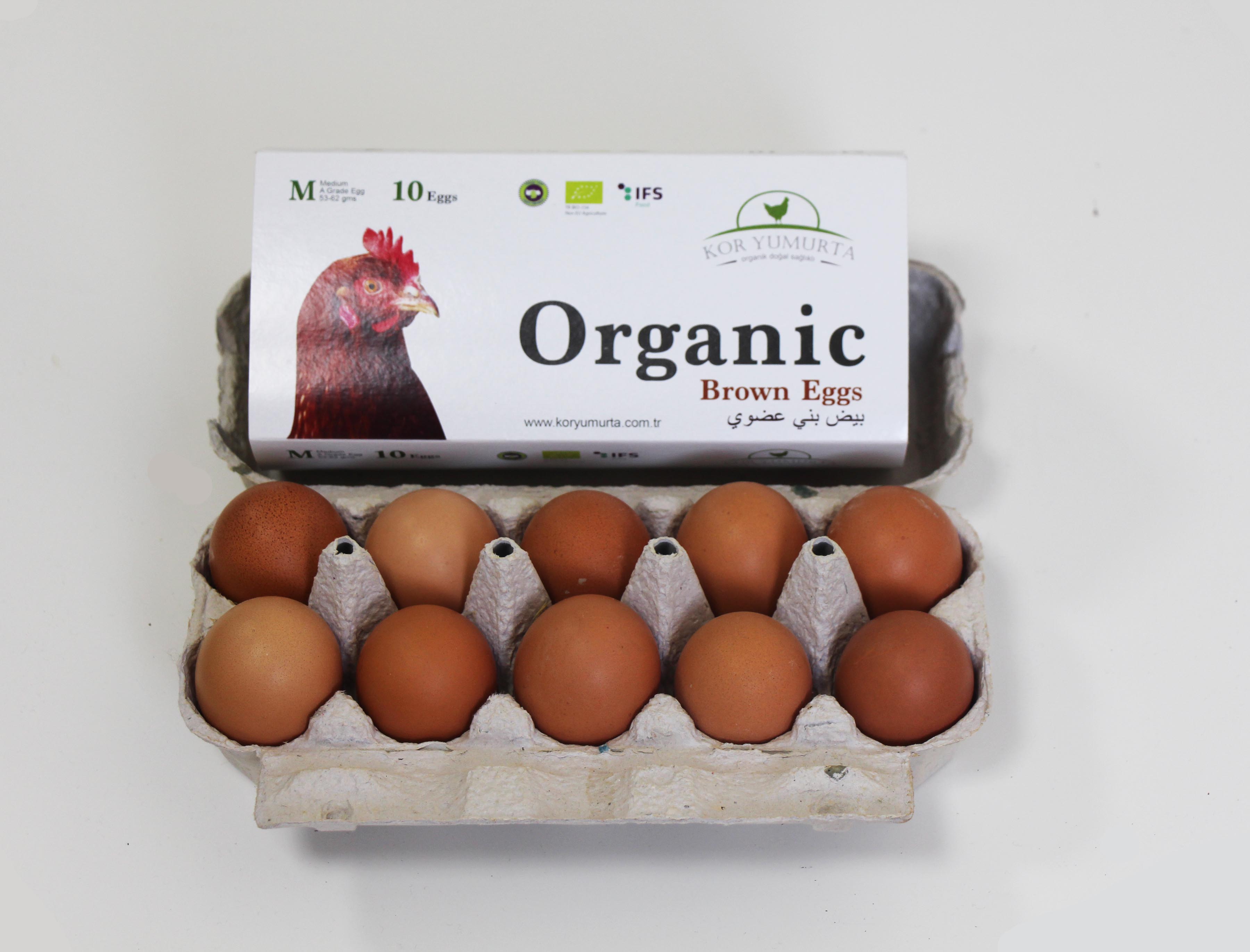 Tray of 10 Organic Eggs