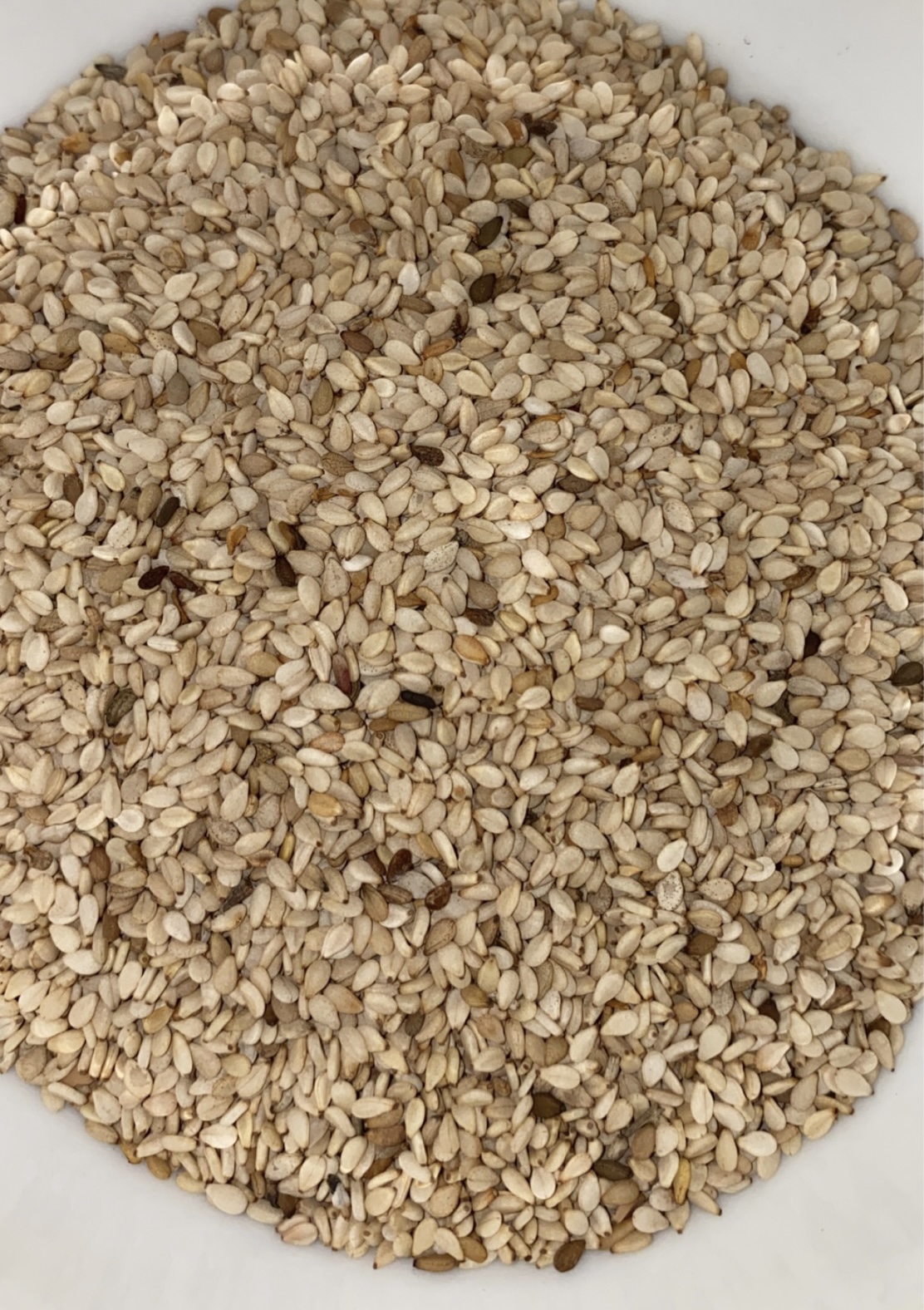 Sesame Seeds