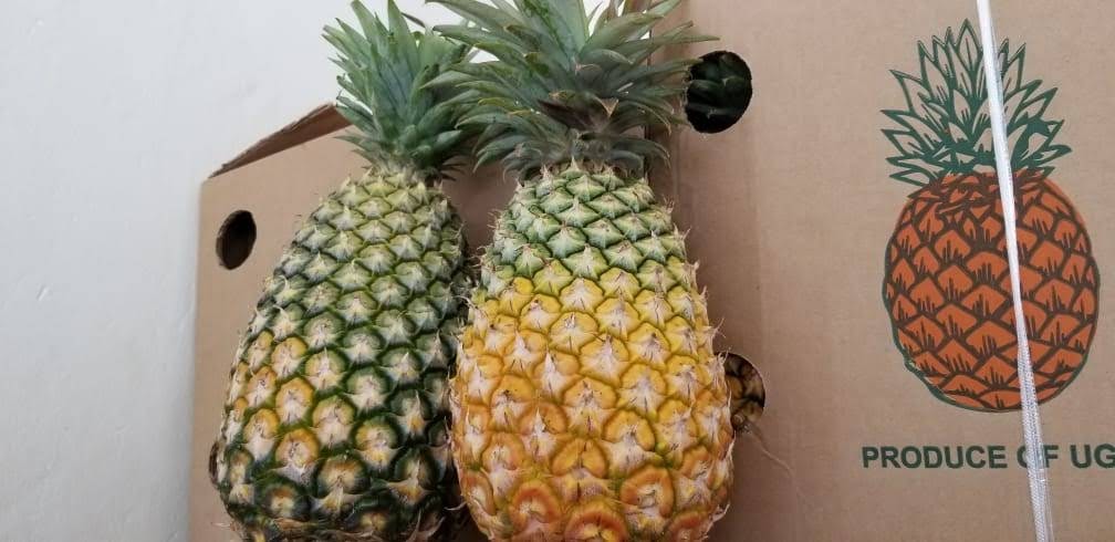 PINEAPPLES