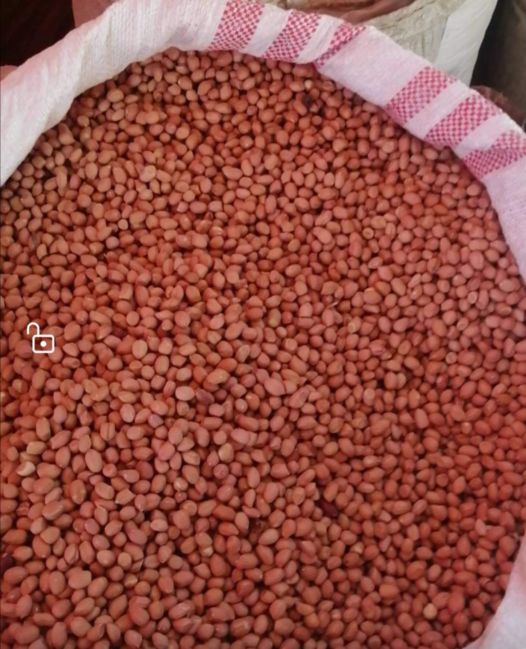 Sudanese Peanuts (Groundnut) HS Code 12024200