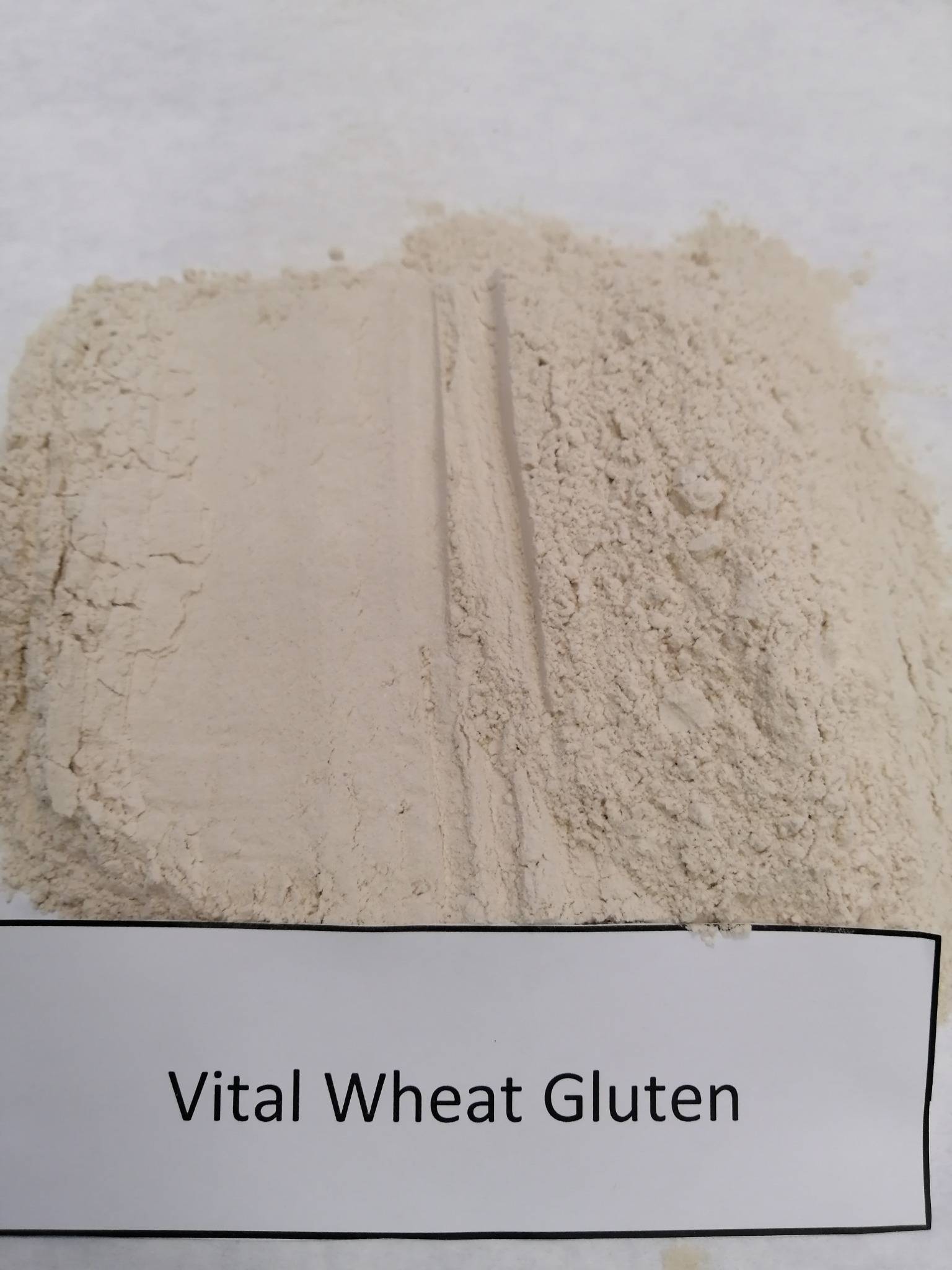 Vital Wheat Gluten