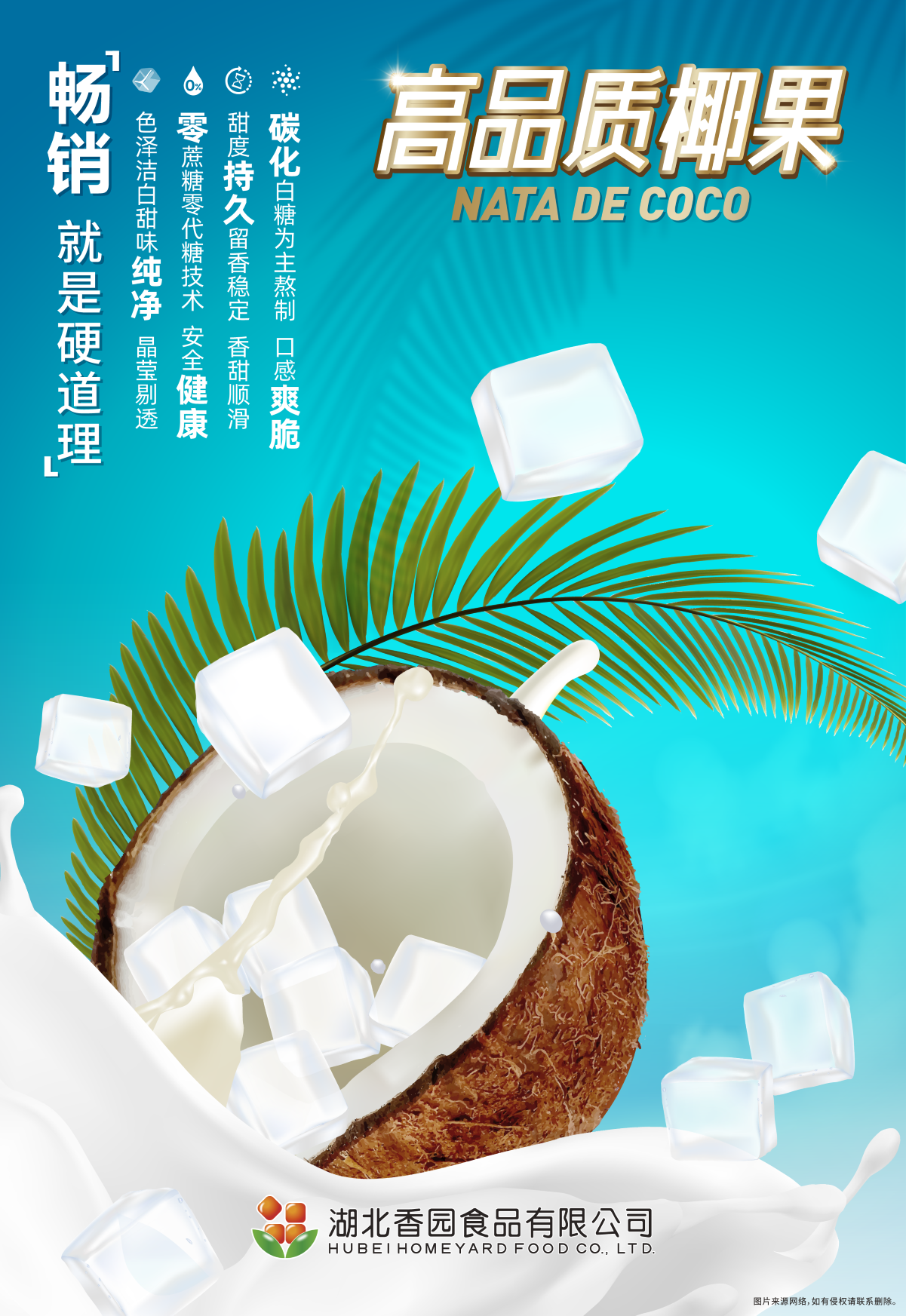 Nata De Coco