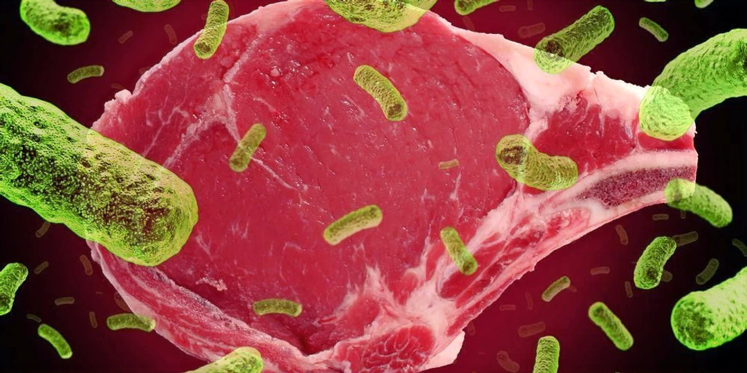 SALMONELLA INHIBITORS