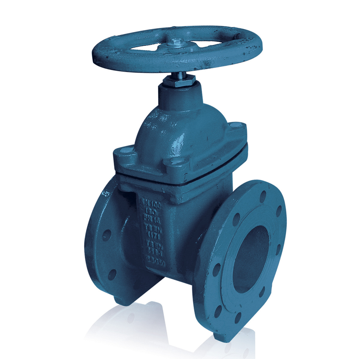 Gate Valve (Elastomer & Metal Seated)  