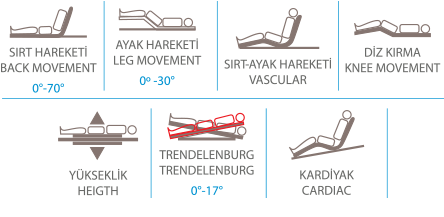 Intensive Care Hospital Bed (With Scale)