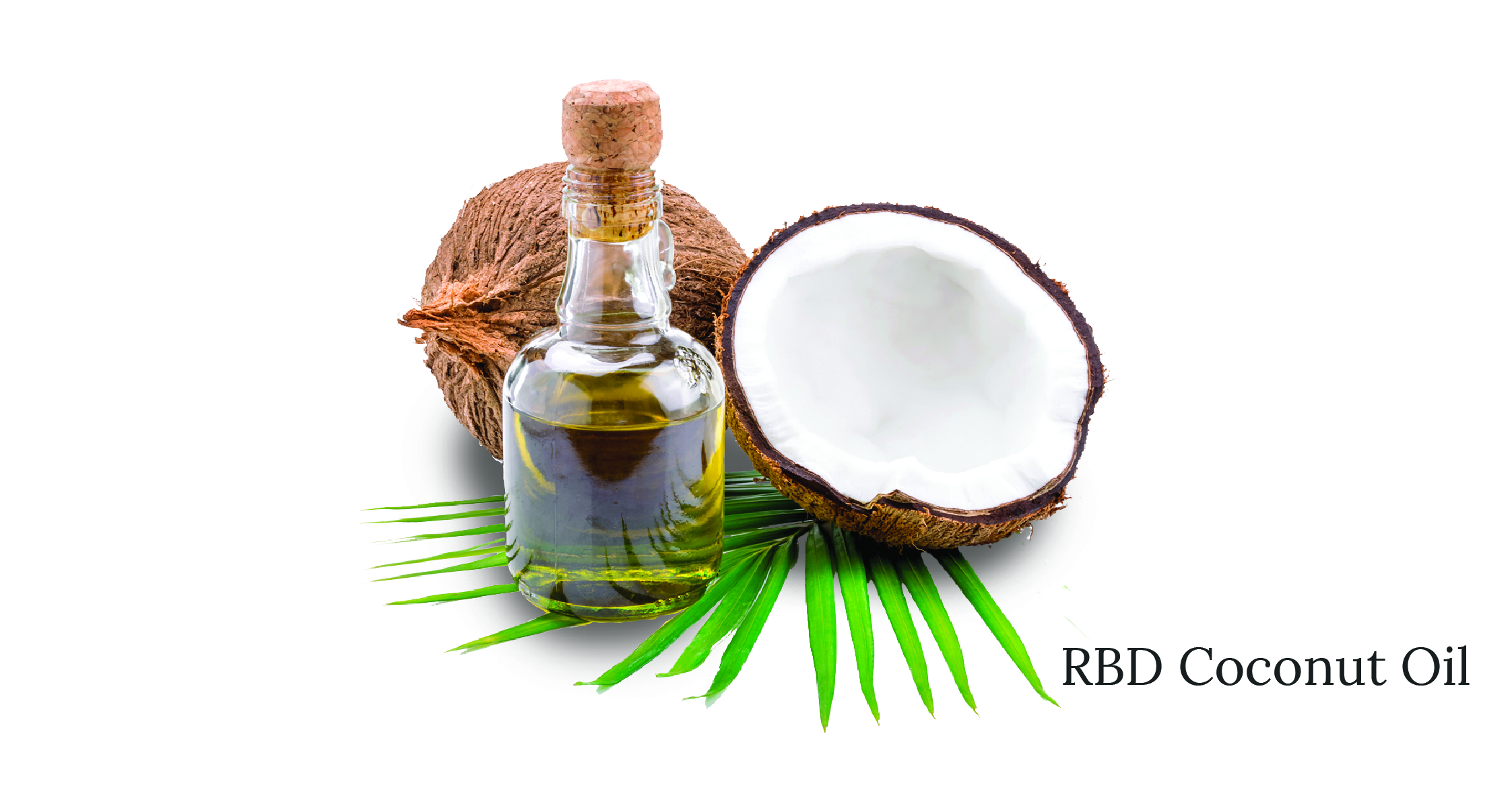 RBD Coconut Oil