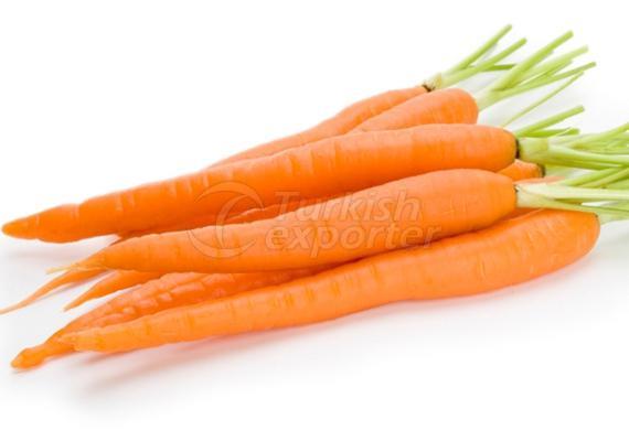 Carrot