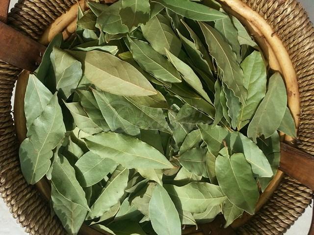 organic bay leaf