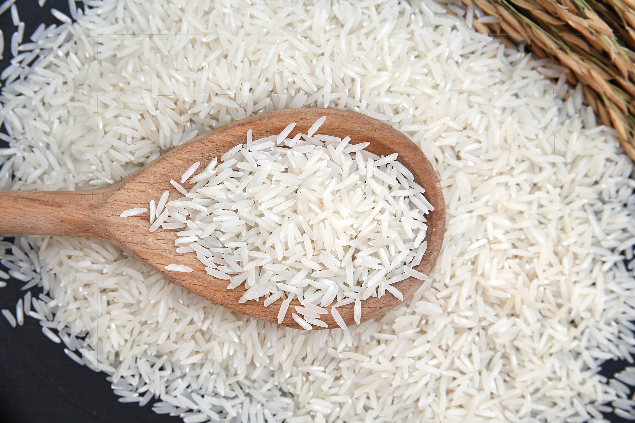 Rice