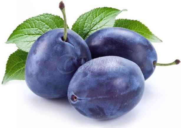 Plum