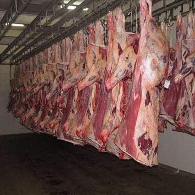 Cattle meats