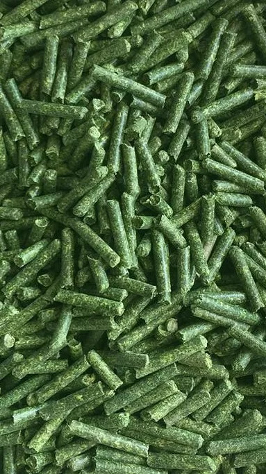 Alfalfa Pellet