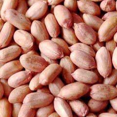 Peanut seed