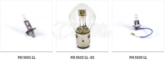 Halogen 12V