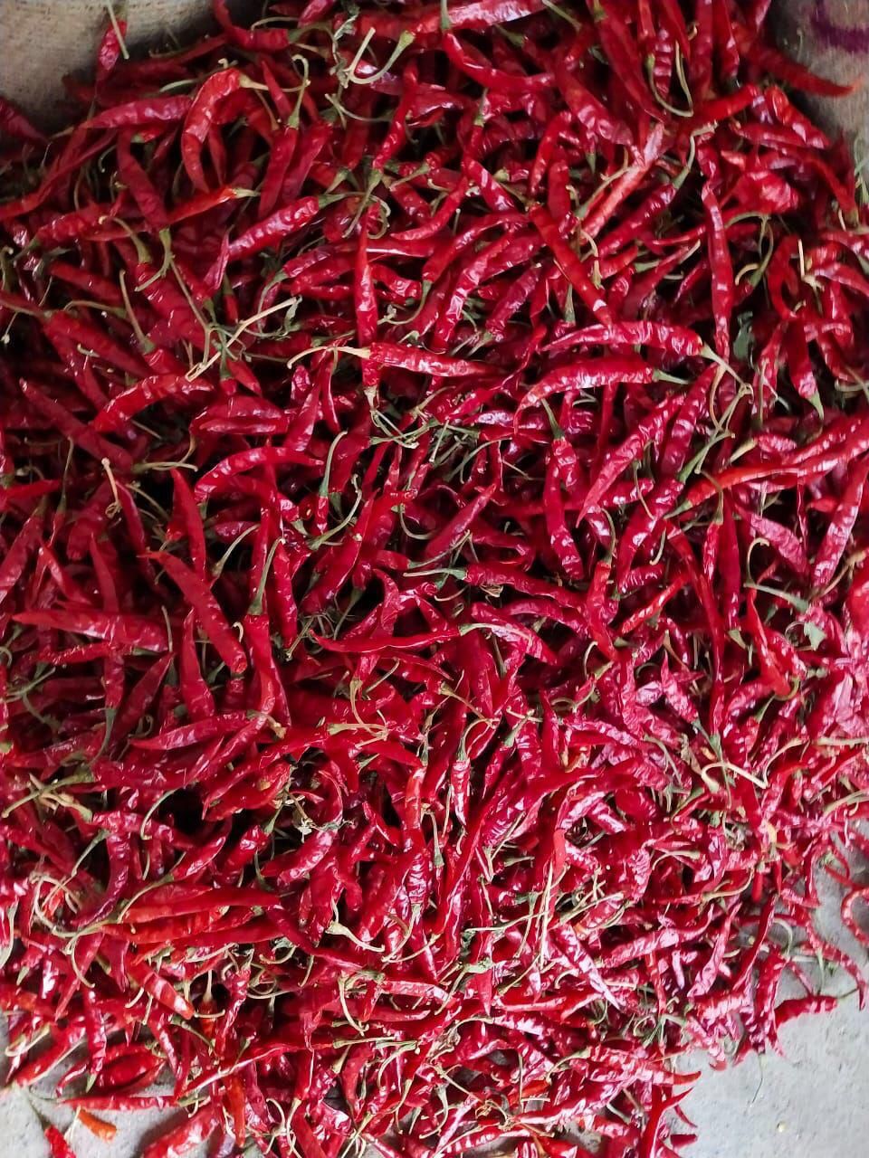 Dry Red Chilly