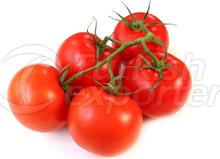 Tomatoes