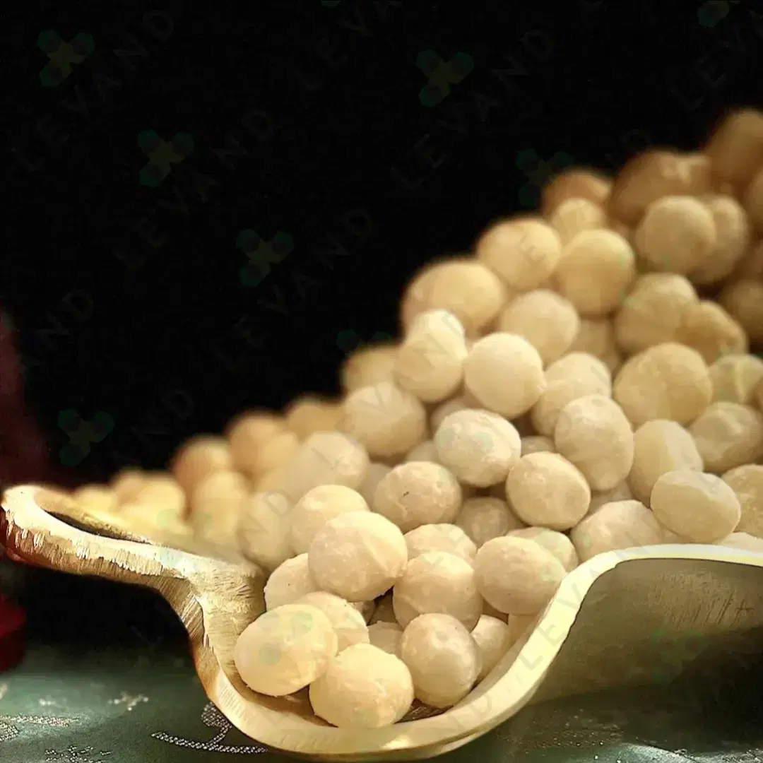 Macadamia