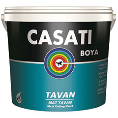 Ceiling Paint