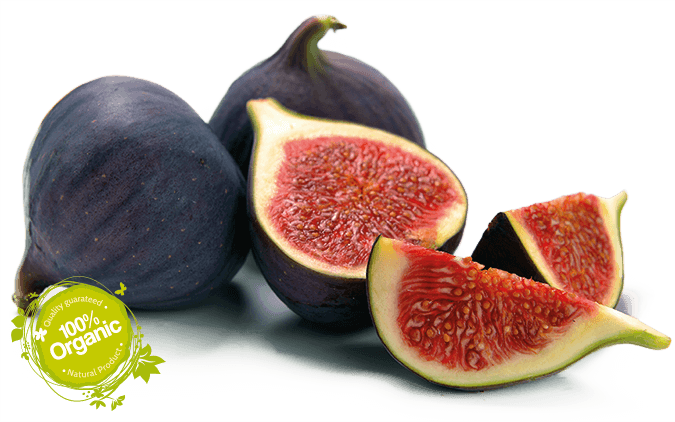 ORGANIC FIG