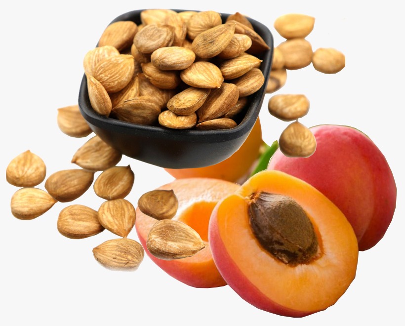 Apricot Kernel