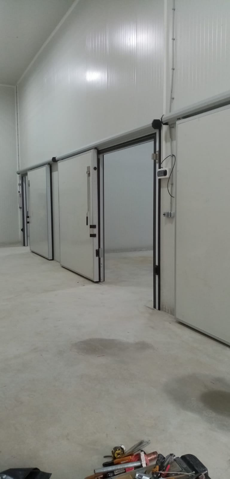 Cold Room Doors