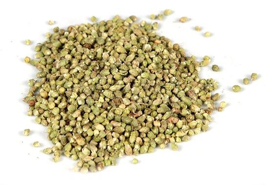 Turkish Oregano