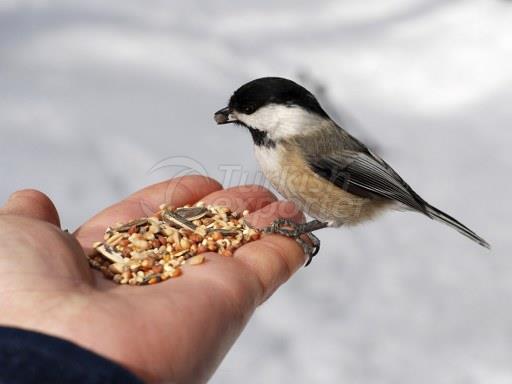 Bird Food