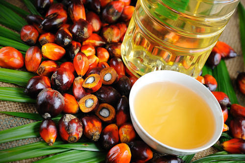 Refined palm oil CP8 and CP10  