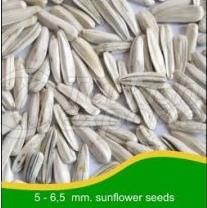 Sunflower Seeds